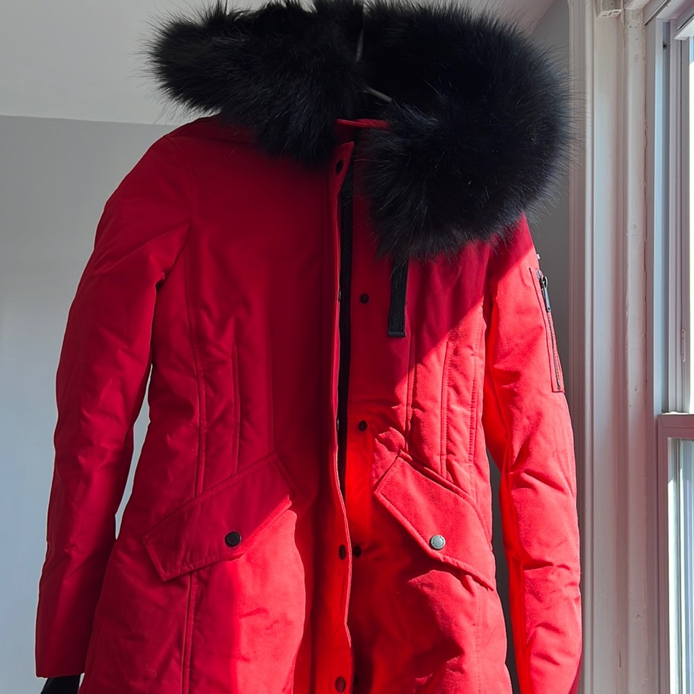 Bcbg coat